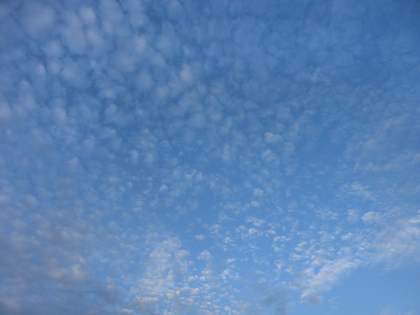 d0066822_08520054.jpg
