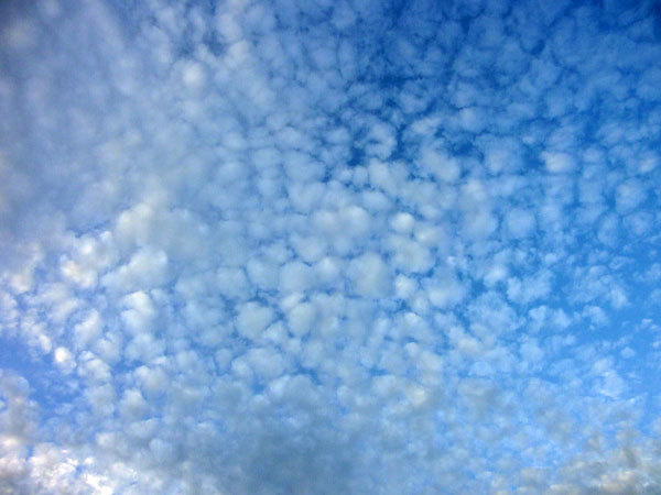 d0066822_08520664.jpg