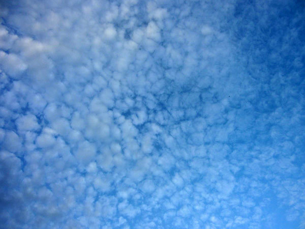 d0066822_08521555.jpg