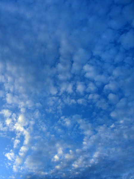 d0066822_08532670.jpg