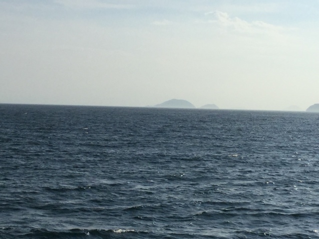 c0326723_20283551.jpeg