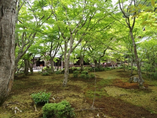 f0013029_11435387.jpg