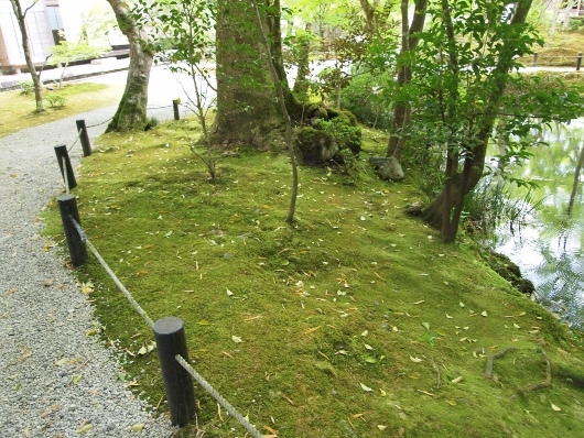 f0013029_11440876.jpg