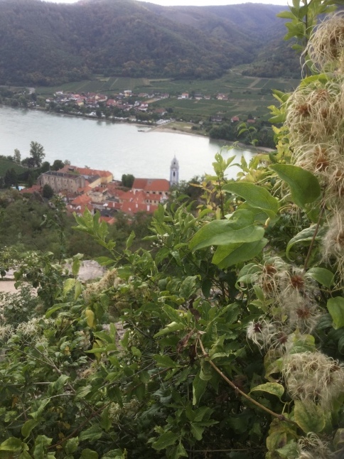 c0103830_22195270.jpeg