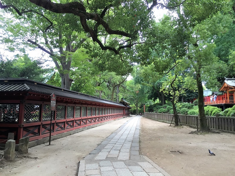 惹かれる_f0076731_20554771.jpg