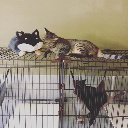 c0367433_16050847.jpeg
