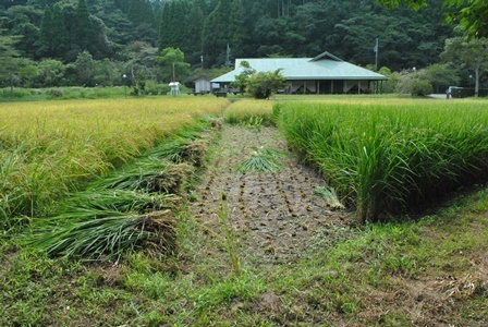 a0123836_17200210.jpg