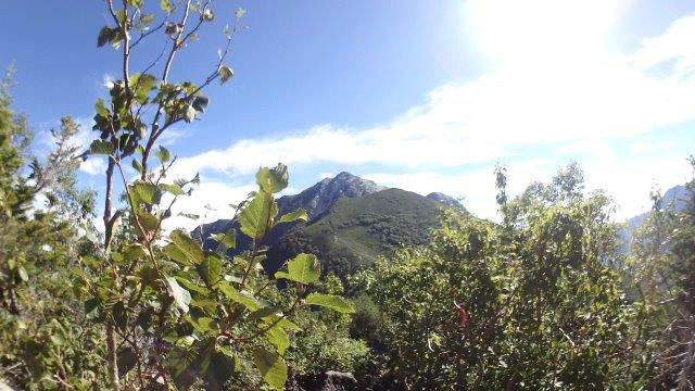 e0371039_15124958.gif