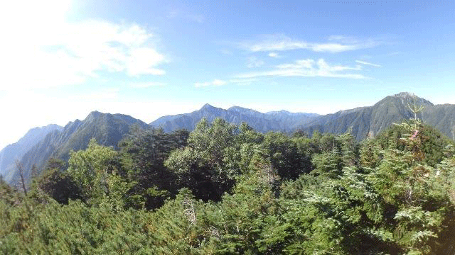e0371039_1513583.gif