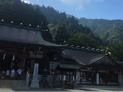 b0330040_04123230.jpeg