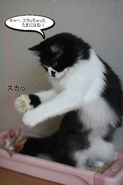華麗なおもちゃ遊び_e0151545_20172895.jpg