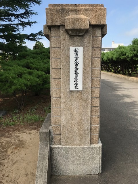 a0151947_15590698.jpeg