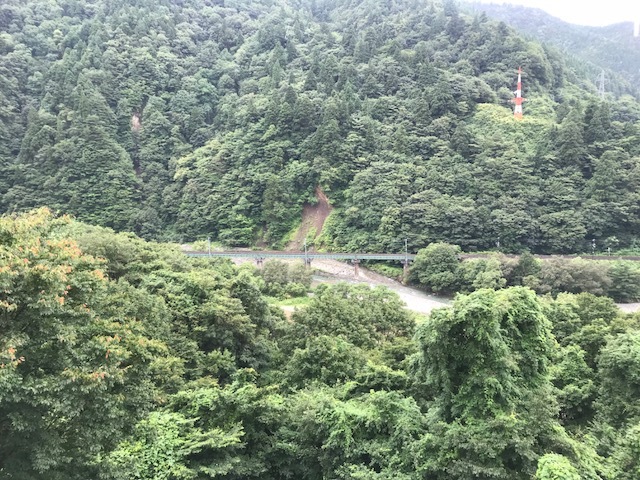 a0151947_16280922.jpeg