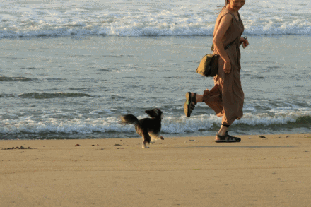 さよなら夏umi2018・Ⅵ (私も飛んだ???)_c0145250_09495278.gif