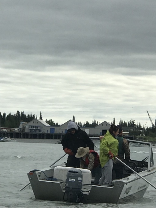 d0143355_15254851.jpeg
