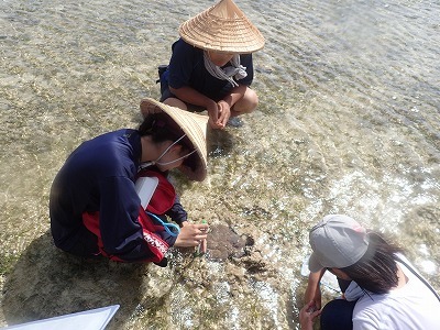 c0180460_01173390.jpg