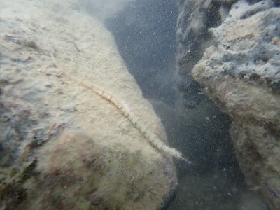 c0180460_11272489.jpg