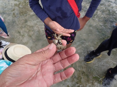 c0180460_11290280.jpg