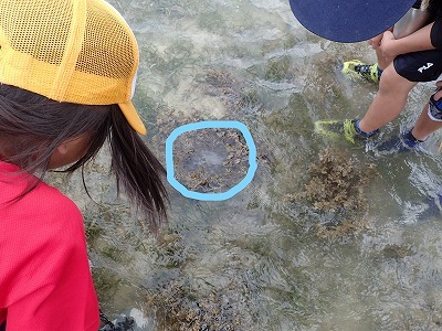 c0180460_11323009.jpg