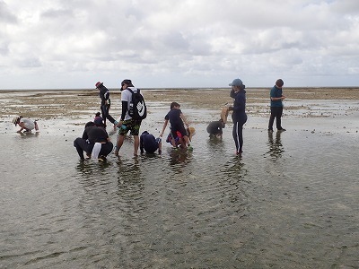 c0180460_11364269.jpg