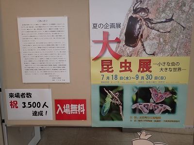 c0180460_12415355.jpg