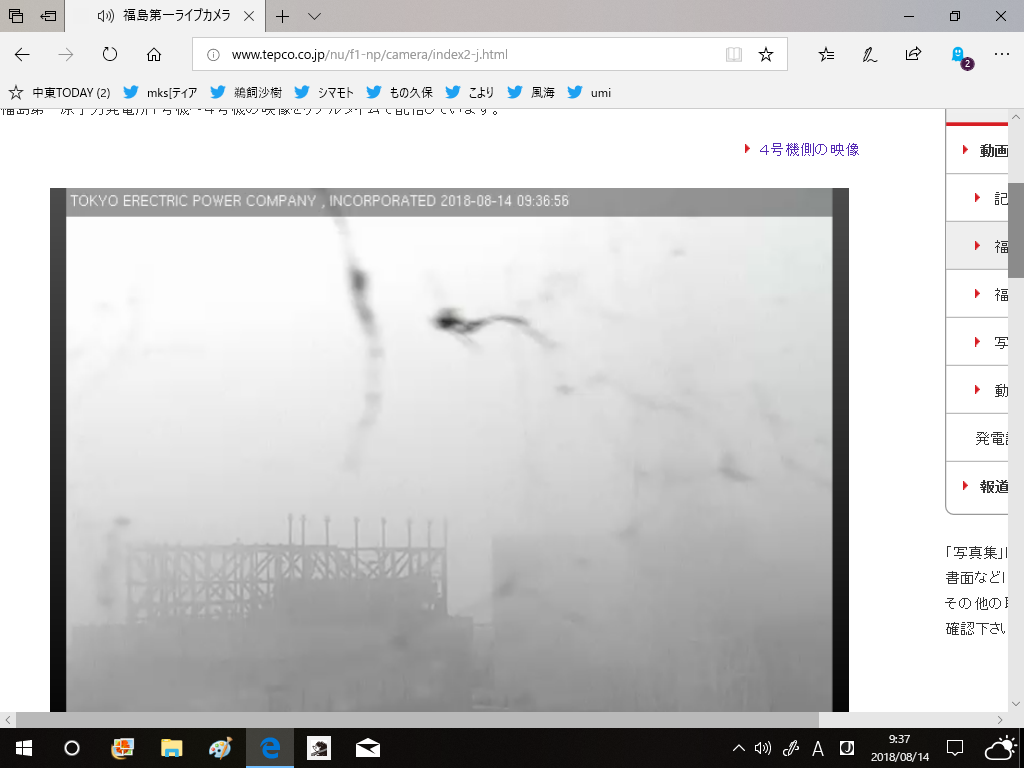 c0322261_05050077.png