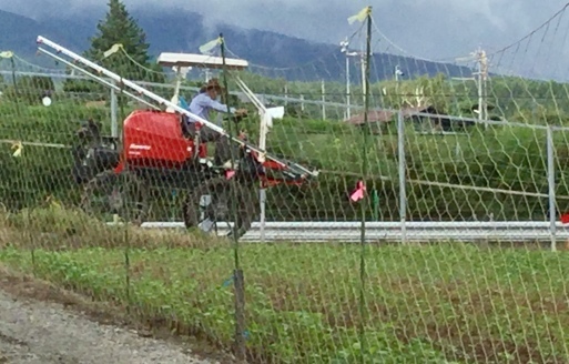 a0053063_18003179.jpeg