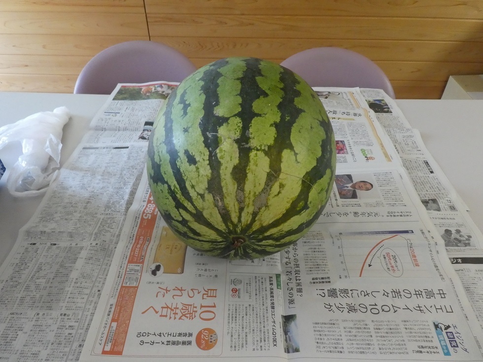 夏の味 スイカ_f0205367_08470969.jpg