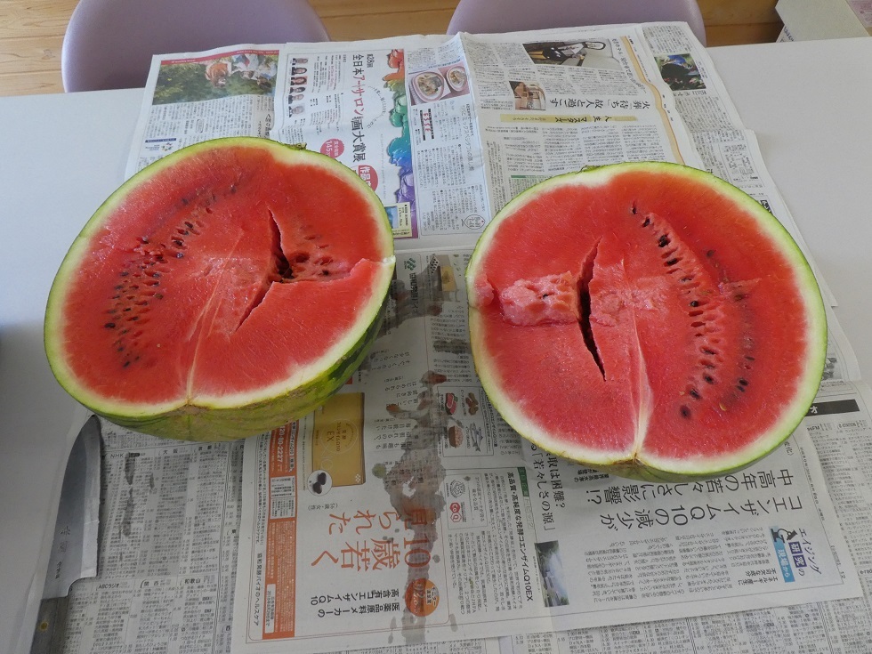 夏の味 スイカ_f0205367_08551588.jpg