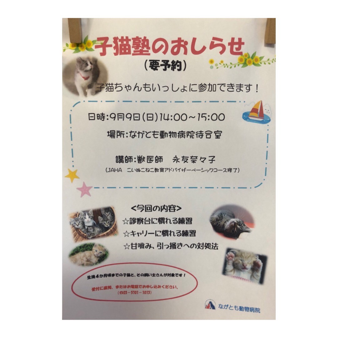 子猫塾のおしらせ_e0367571_12015755.jpg