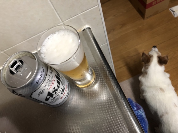 e0106372_18105055.jpeg
