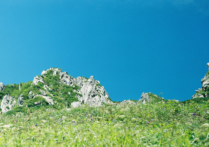 e0307372_16111161.jpg