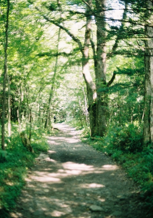 e0307372_20583392.jpg