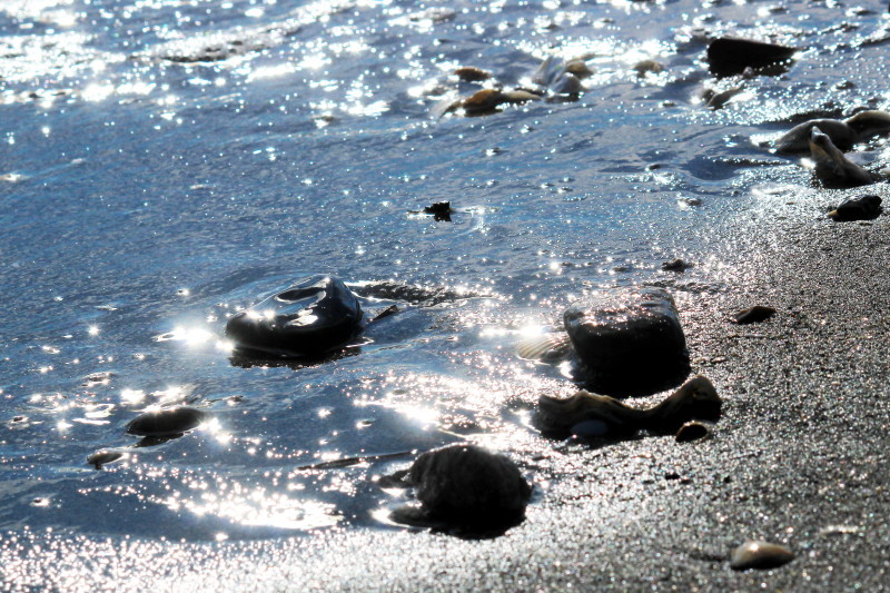b0093678_21012784.jpg