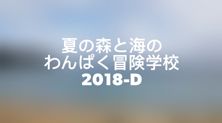 ビデオ◆夏の森と海のわんぱく冒険学校DコースのビデオをYouTubeにアップしました！_d0363878_17585007.png