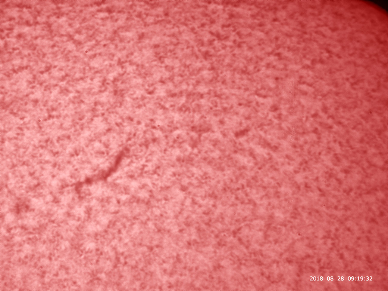 8月28日の太陽_e0174091_11142559.jpg