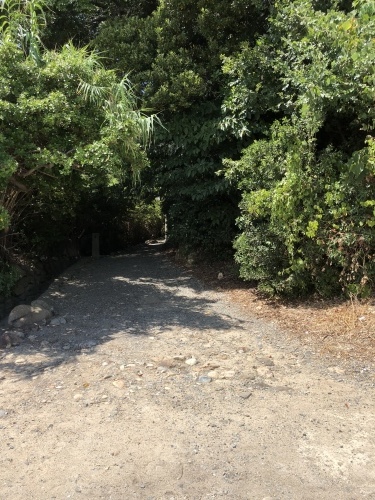 遠い夏 白昼夢。(ナコの海岸物語)_d0087595_18465394.jpeg