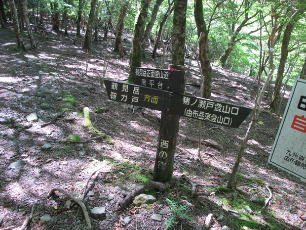 a0166196_12474299.jpg