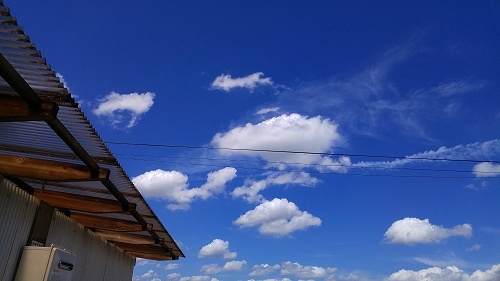 e0221697_10541243.jpg