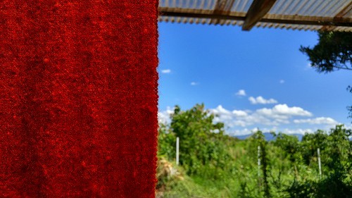 e0221697_10543364.jpg
