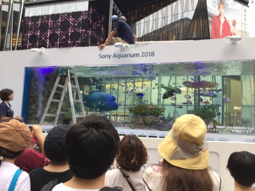 b0195100_13531356.jpeg