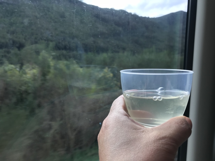 冬のニュージーランド旅(27)トランツアルパインでクライストチャーチに戻ります(飲み鉄Part2)_c0212604_21423320.jpg