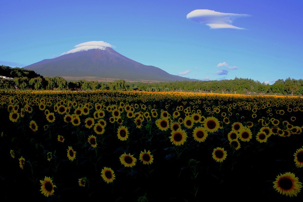 a0188405_17195472.jpg