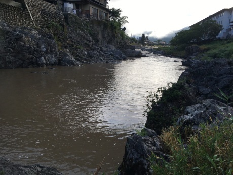 f0362524_20183565.jpg