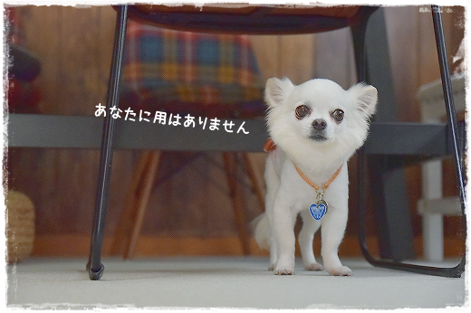 d0179828_00341934.png