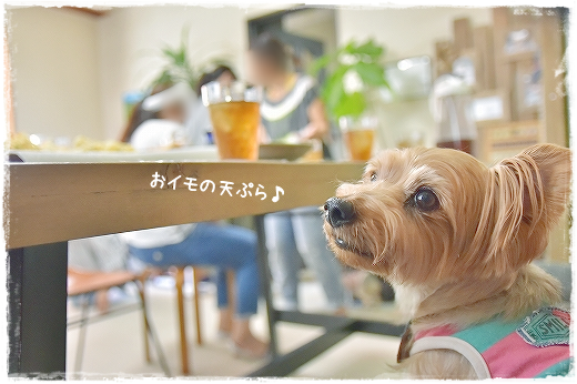 d0179828_00374790.png