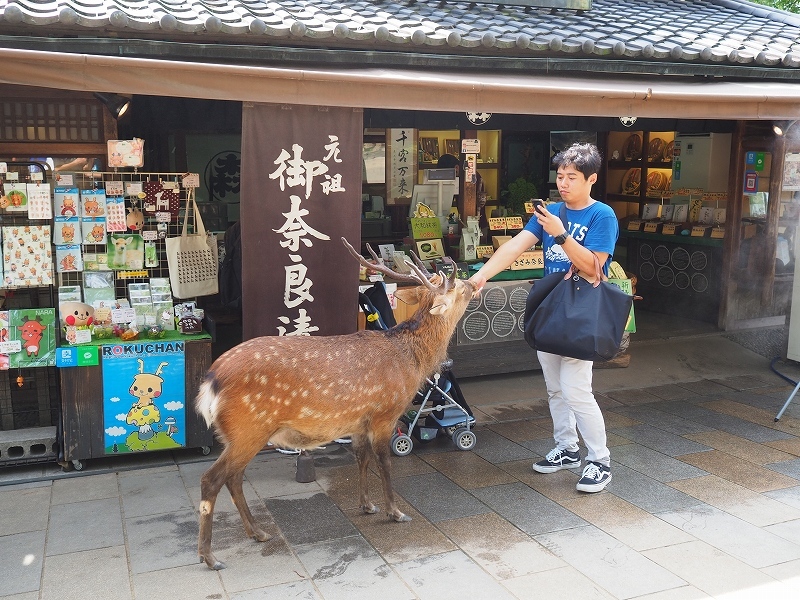 野生の王国??_e0374932_06470540.jpg