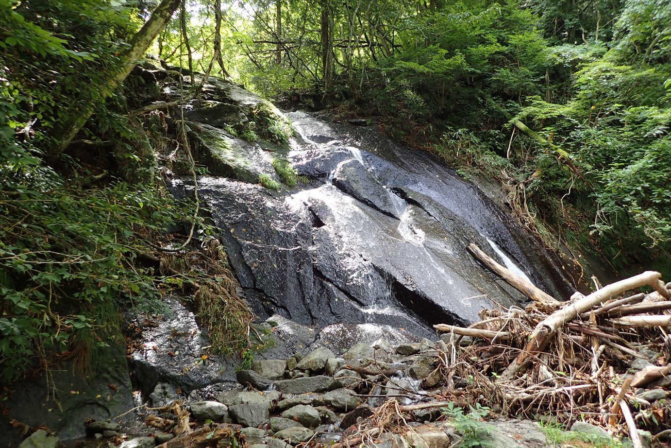 f0348933_20481725.jpg