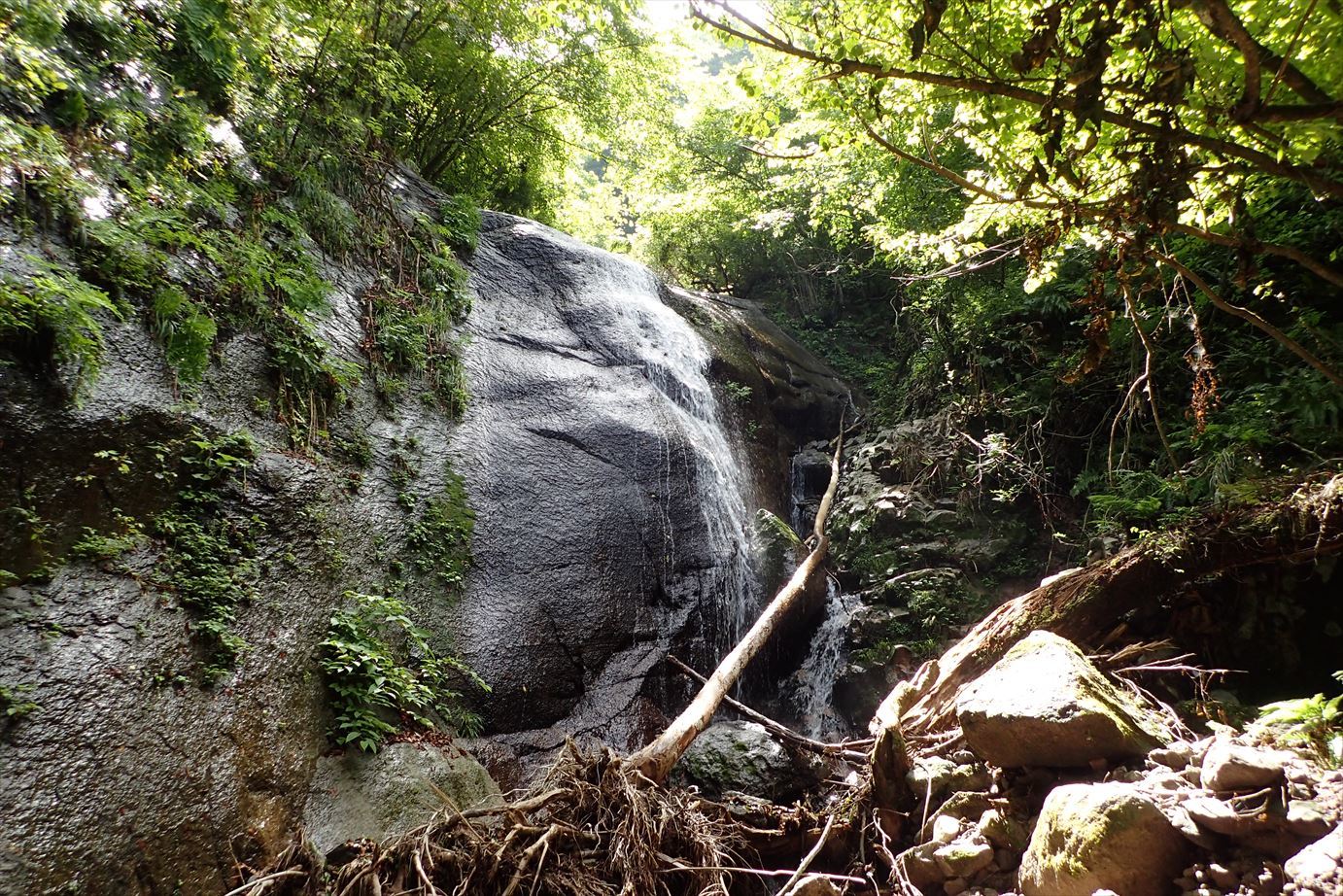 f0348933_20532638.jpg