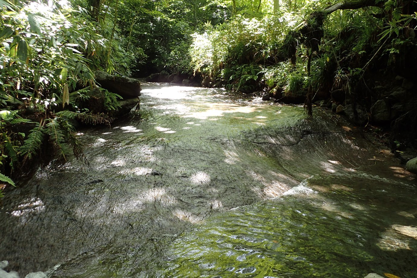 f0348933_21050151.jpg